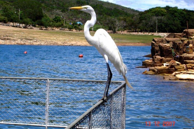 Pousada Araras Lago De Furnas Sao Jose da Barra Buitenkant foto